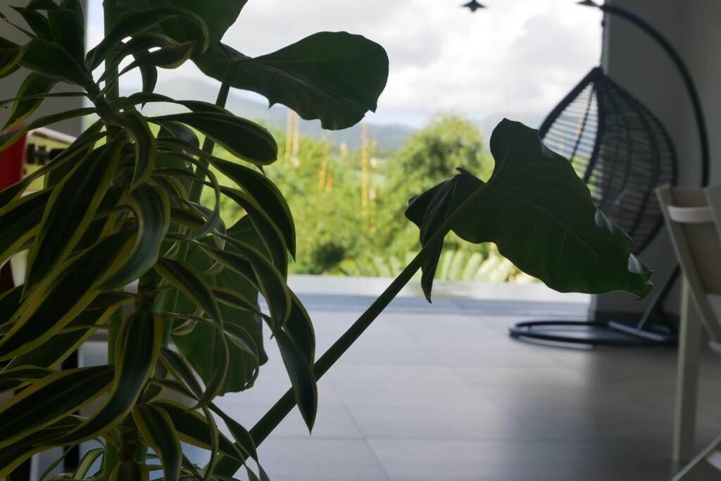 Villa Kumquat, Avec Piscine Clévacances 4 Clés